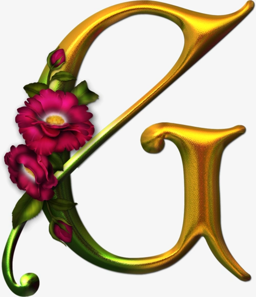 png设计大写英文字母g