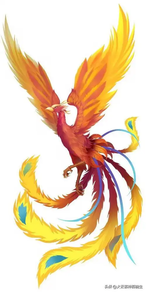 我们中国一般将不死鸟翻译为凤凰或火凤凰,实际上不死鸟和凤凰,还真不