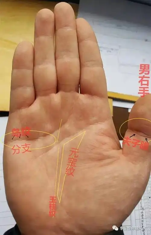 手掌纹中理财线(手相理财线在哪里)