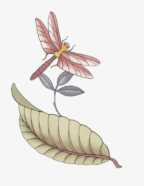 蜻蜓免抠素材免费下载_觅元素51yuansu.com
