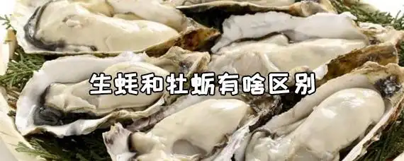 生蚝和牡蛎有啥区别