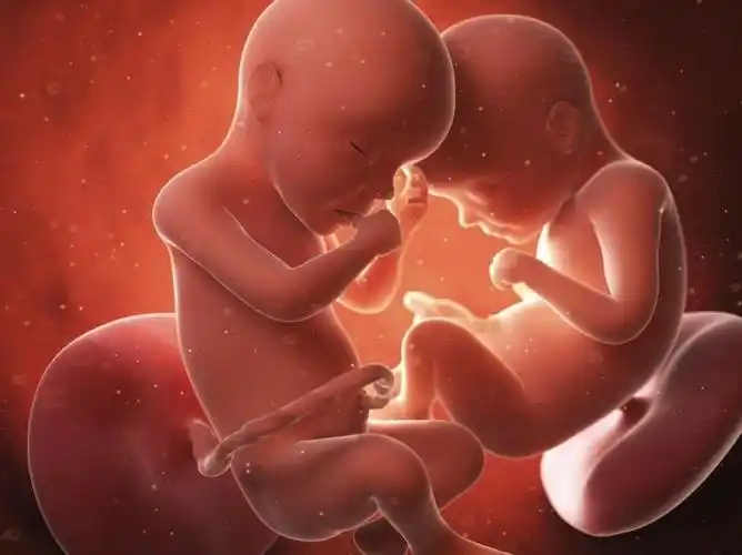 为什么有的孕妇肚子很大,有的孕妇不显怀?