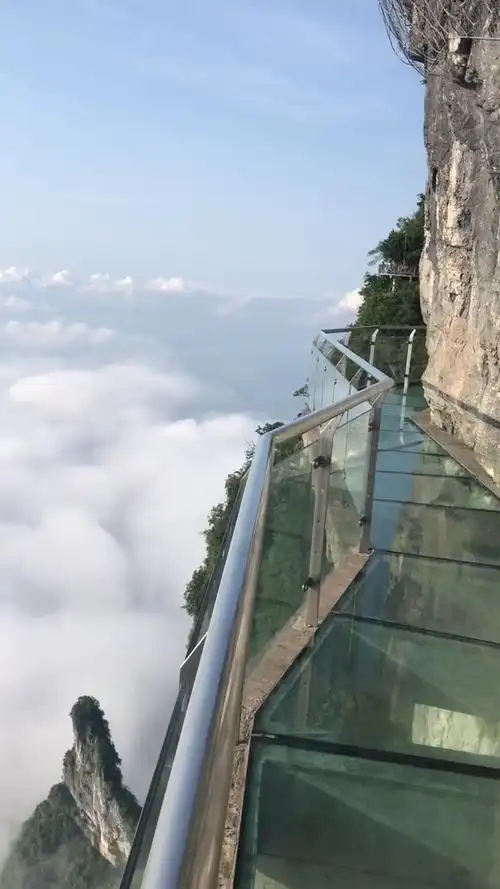 网红玻璃栈道,你来过吗?这个角度看,更恐怖!050505