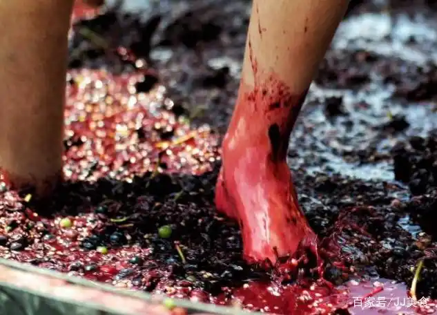 说一种食物是用脚制作出来的,那么肯定会有很多人觉得恶心不想吃了
