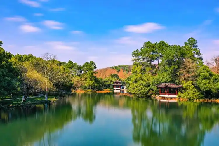 【春日里的中国】杭州春韵应如是  西湖觅影满陇茶