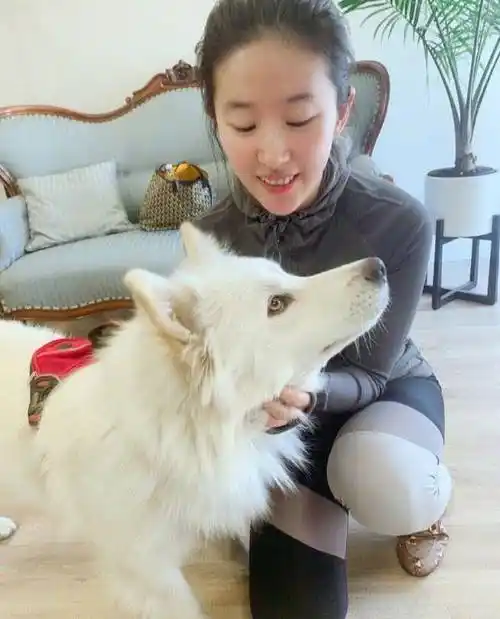 原创刘亦菲自信晒素颜照翻车像大妈露出招牌笑容牙齿凹陷秀宠物是为了