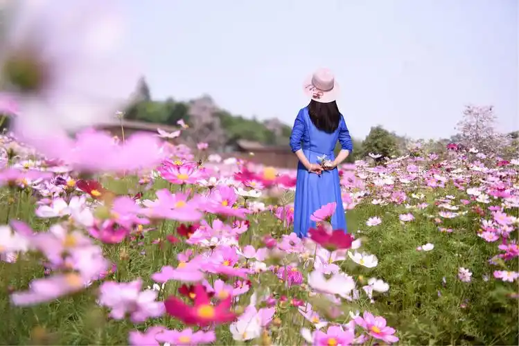 春天让人的心情清澈明朗,它带来了欢乐和希望,像拿着一只彩色的笔,画