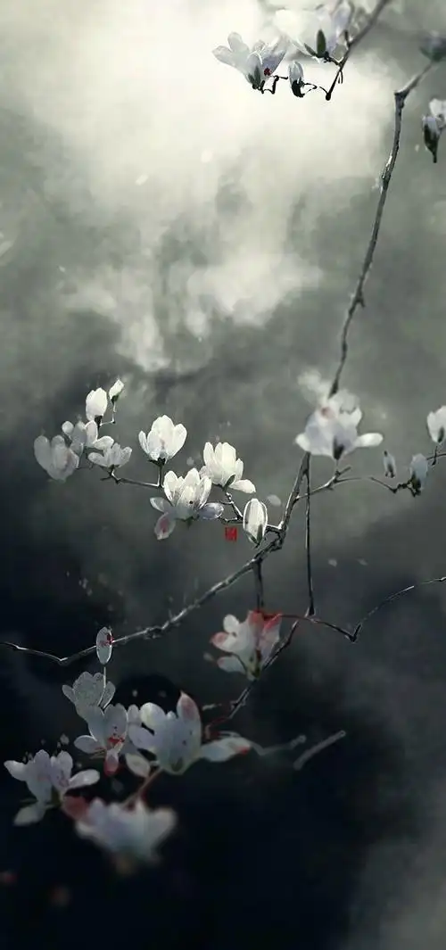 动漫古风壁纸(意境)