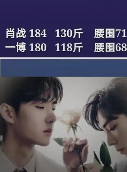 晨间日记0410看了肖战和王一博的身高体重腰围后立志瘦身的第七