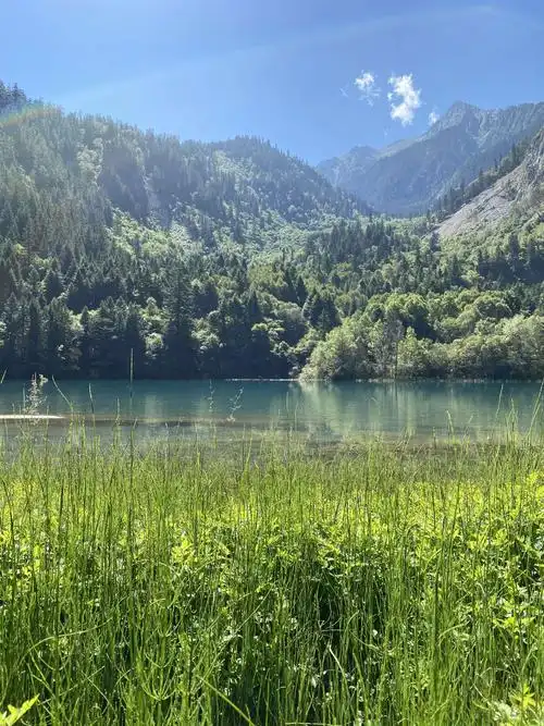 "九寨归来不看水",是对九寨沟景色真实的诠释.