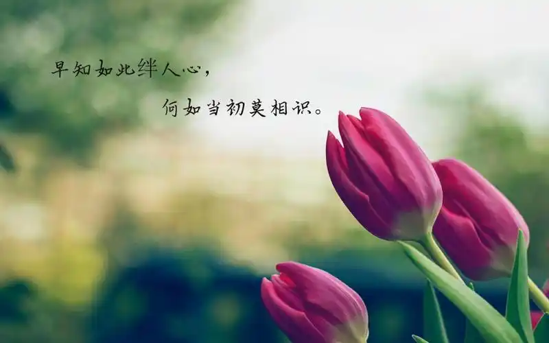 没有了 下一组 相关专题 文字图片伤感图片 相关标签 心凉文字简单