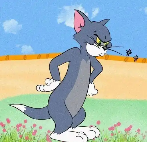 头像|值得长期不换的wechat头像_资讯_碎片_实录