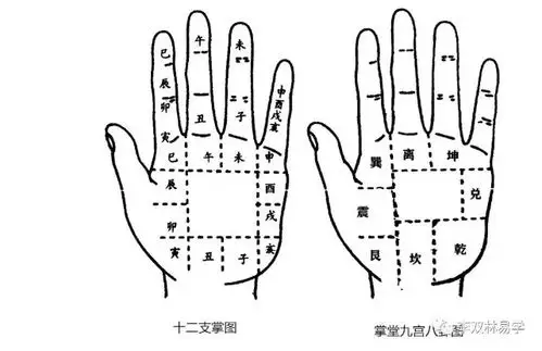 手掌中的九宫八卦分别位于什么位置
