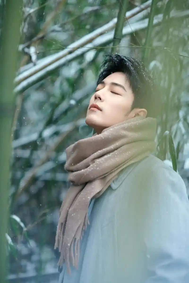 肖战冬至竹林大片 #肖战 #向全世界安利最好的肖战 #冬至 - 兑趑