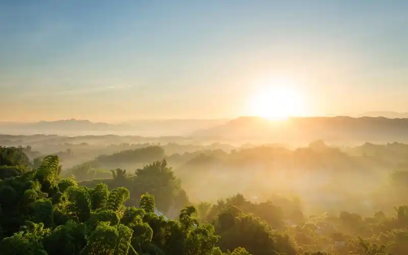 树景观阳光高清壁纸,高清图片,壁纸,自然风景-桌面城市