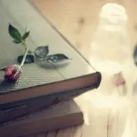 微信头像书本花香 花香书香醉人