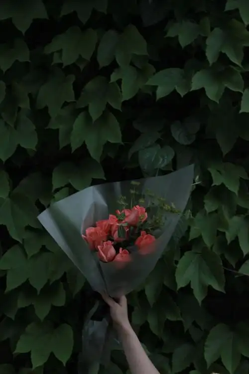 文艺 复古鲜花人像摄影