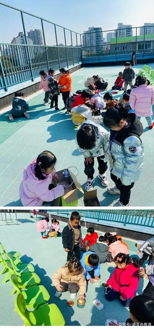 诺亚舟嘉兴庆安小哈佛幼儿园中五班班级故事——孵小鸡体验记