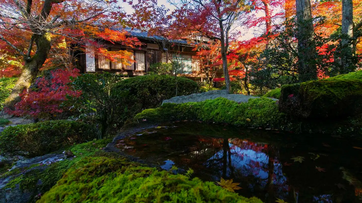 日式花园美景图片高清宽屏桌面壁纸