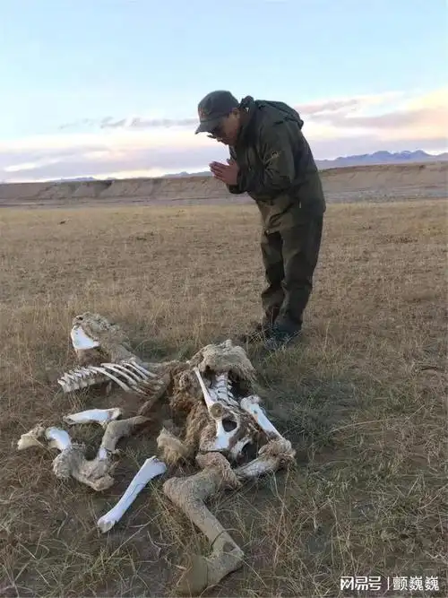 如此凶险之地,单车肯定不能进,鲁浩在他"盗火者"圈里发出英雄贴,很快