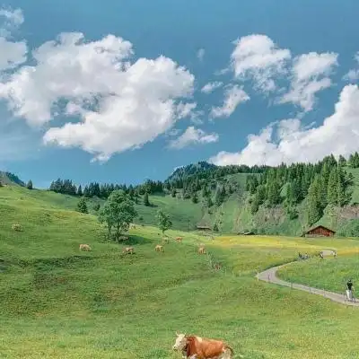 快手风景头像_480x480尺寸快手专用风景头像_第4页_qq头像_我要个性网