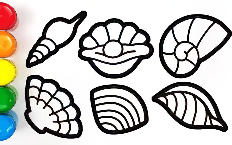 创意儿童填色画 2分钟给宝宝画6种美美哒小贝壳 涂上漂亮的颜色