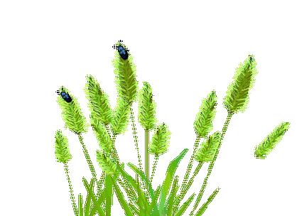 450_320gif 动态图 动图