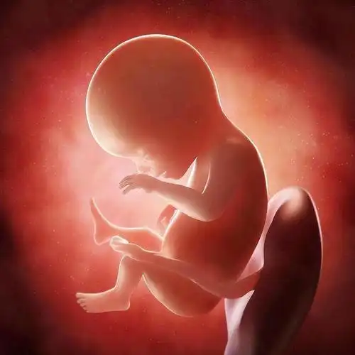 并非有毛病,而是这两种原因|胎儿|枕头|脑发育_网易订阅