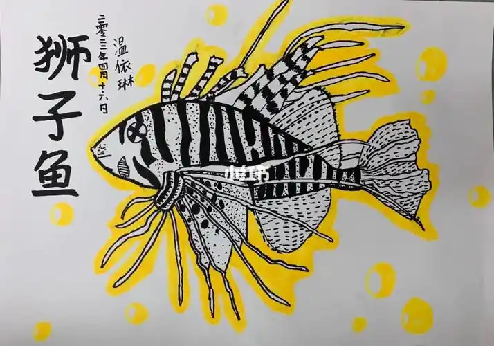 狮子鱼呀96#少儿创意美术  #狮子鱼  #写生