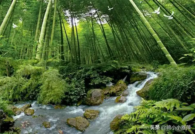 儿子的理念这篇文章最适合中老年朋友看看