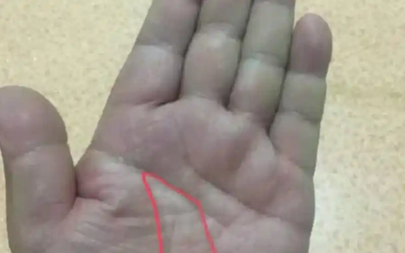 生命线末端有三角纹好吗_哔哩哔哩_bilibili