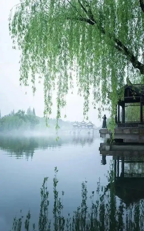 烟雨江南若用一字形容江南,尤其是江南的春天,那一定是"润"字.