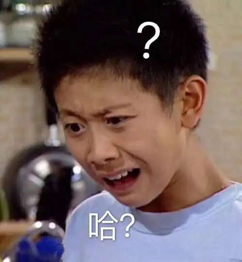疑惑(家有儿女刘星表情包)