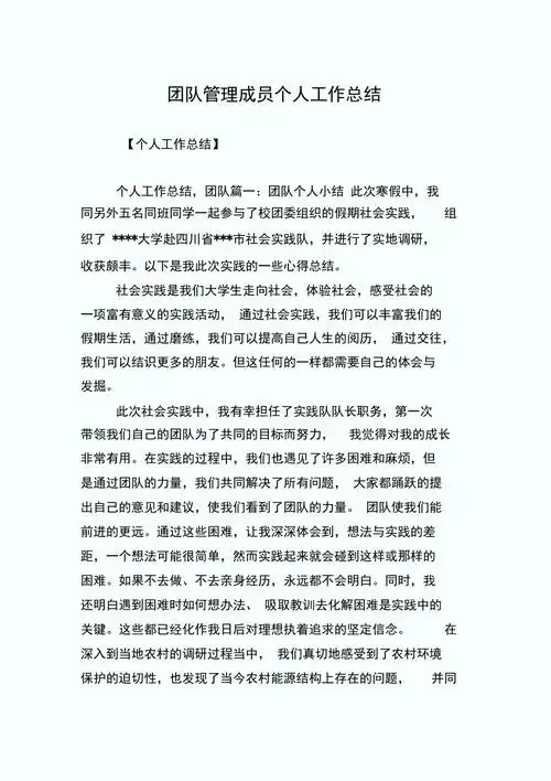 团队管理成员个人工作总结