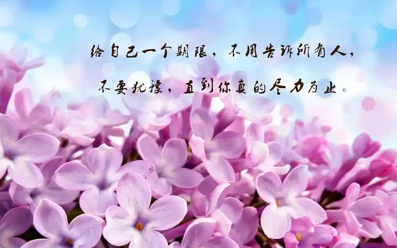 治愈系,正能量,励志,说说,句子,文字,治愈,电脑壁纸,壁纸正能量的唯美