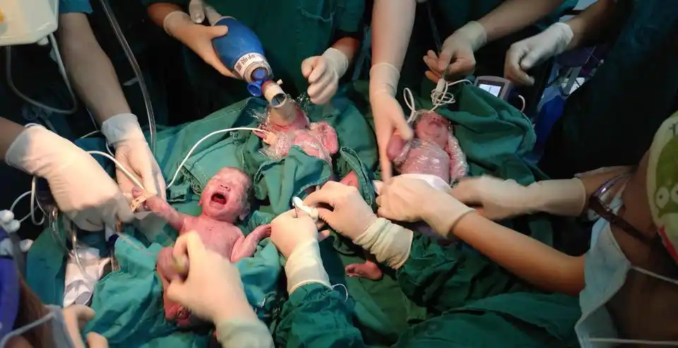 放了两颗"种子",得到三个孩子,这"三胞胎"诞生是奇迹!