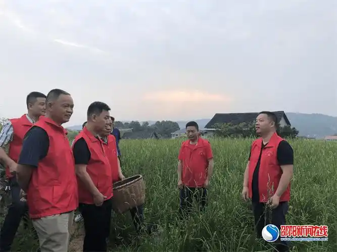 邵东市团山镇过好组织生活激发奋进动能