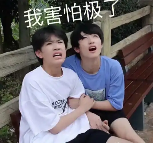 tf三代表情包九