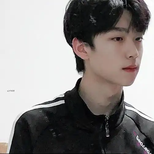 新粉入坑求安利张嘉元