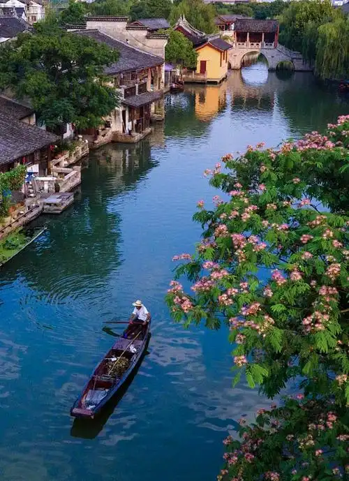 浙江乌镇边走边画3月之旅