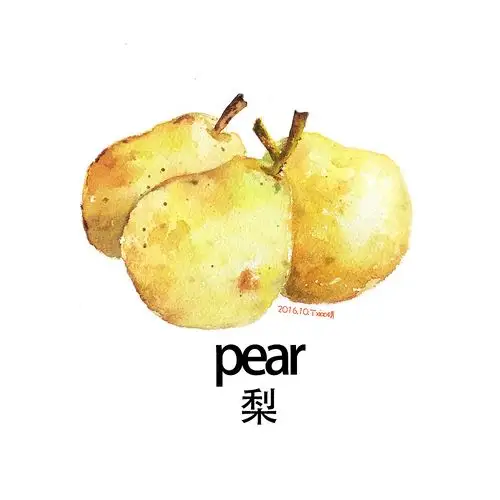 手绘水彩水果系列之梨每日一图