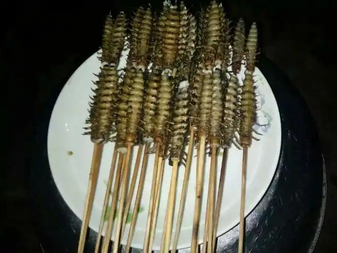 烤水蜈蚣