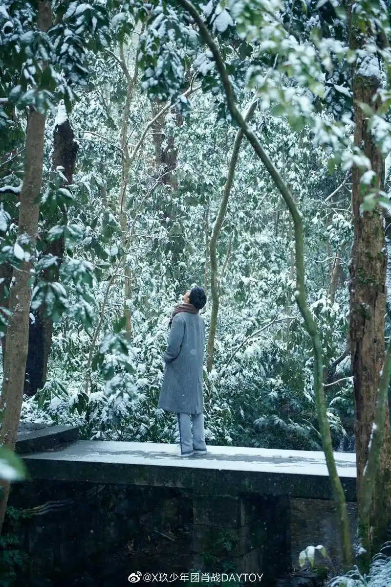 疲惫的生活里总要有温柔的梦想 #肖战冬至竹林大片  - 抖音