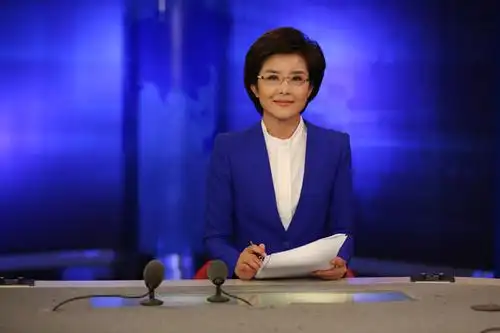 王宁简历_新闻_央视网(cctv.com)