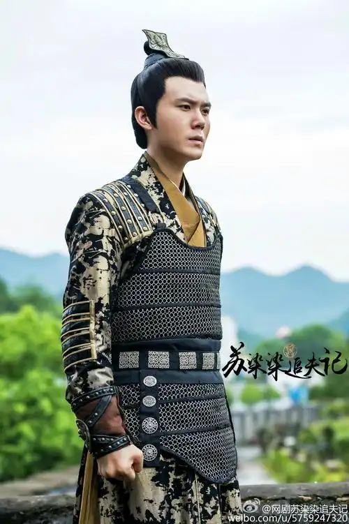 《苏染染追夫记》是北京壹加传媒有限公司承制的古装武侠网络剧,由 a