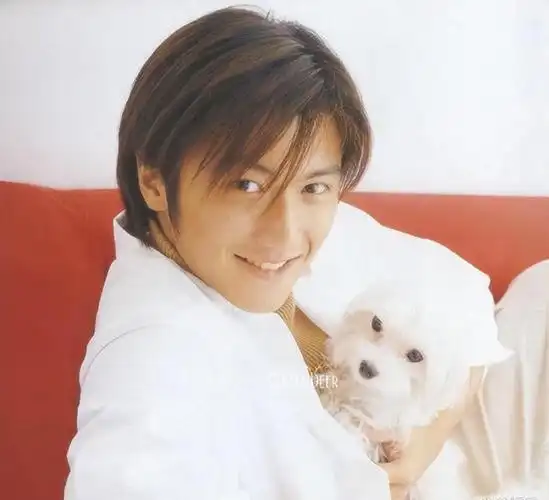 谢霆锋张柏芝关系的疑点满满,如今才明白,原来一厢情愿的不是她