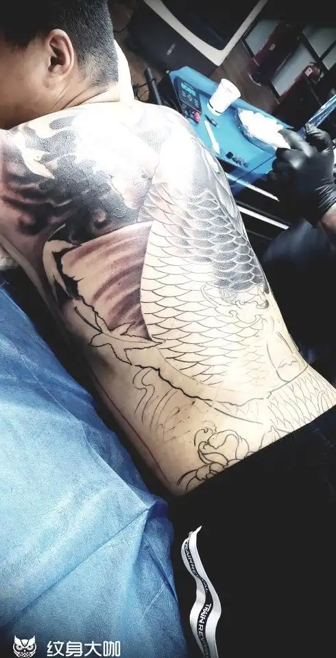 满背大鲤鱼_纹身图案手稿图片_温潇的纹身作品集