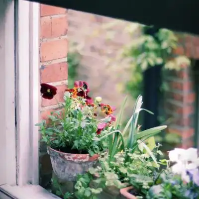 微信头像风景高清2019 半寸时光