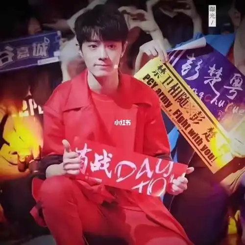 肖战全球后援会应援手幅_肖战_娱乐_明星娱乐资讯