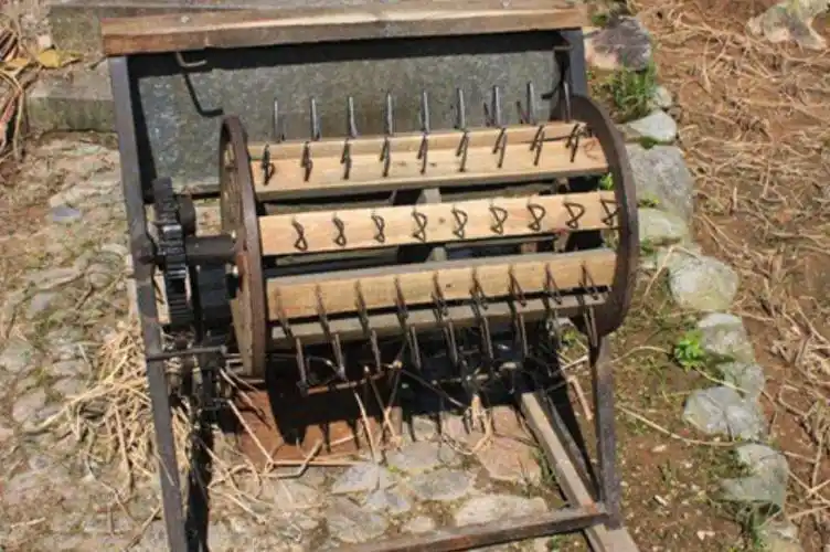 爸妈站在那"打稻",我们就在旁边"喂稻".